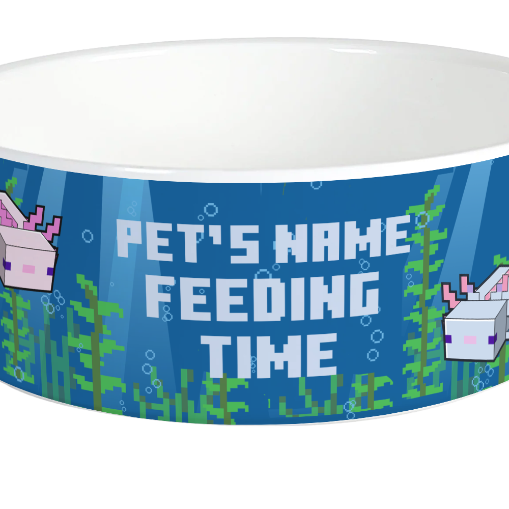 Minecraft Axolotl Feeding Time Personalized Pet Bowl