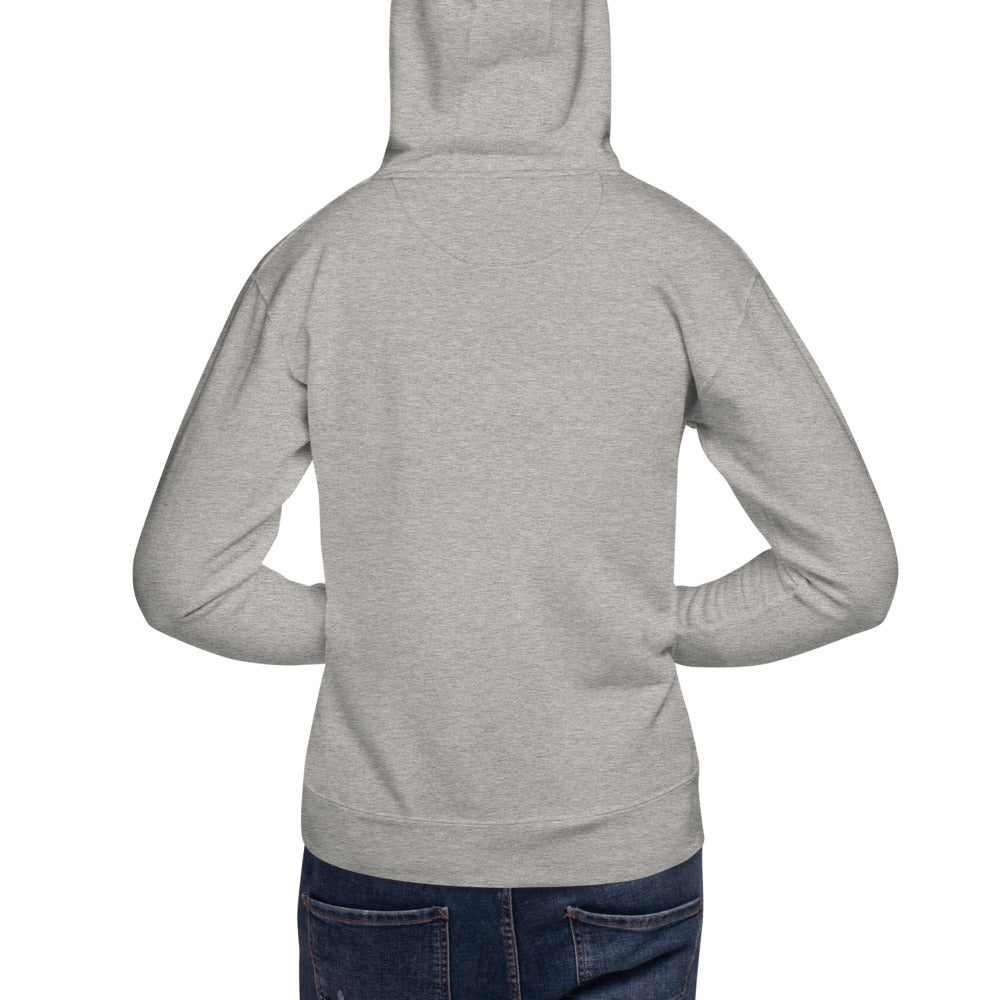 Minecraft Limited Loot Swamp Sunset Unisex Premium Hoodie