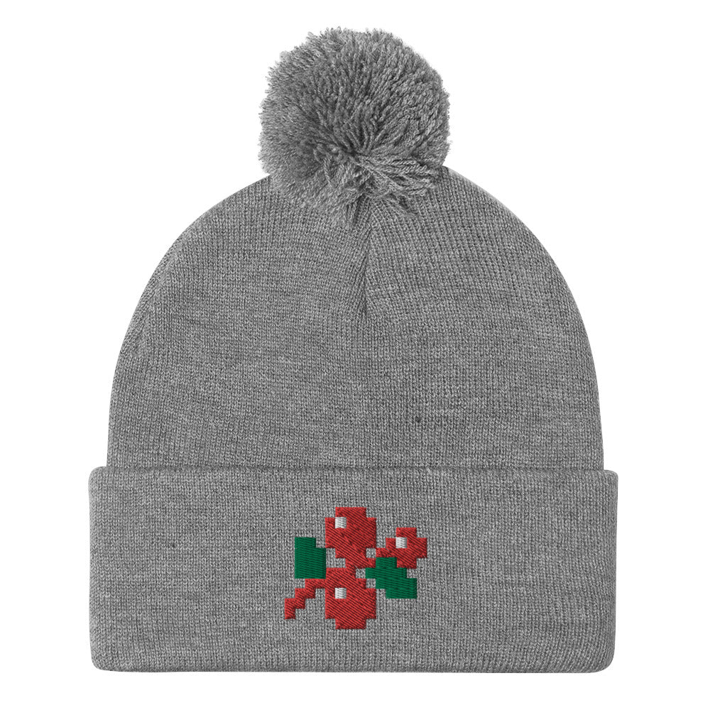 Minecraft Holly Pom Beanie