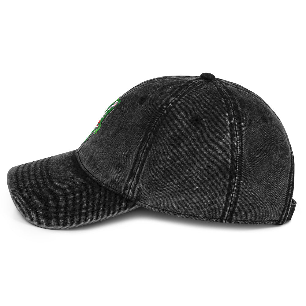 Minecraft Creeper Skeleton Vintage Cap