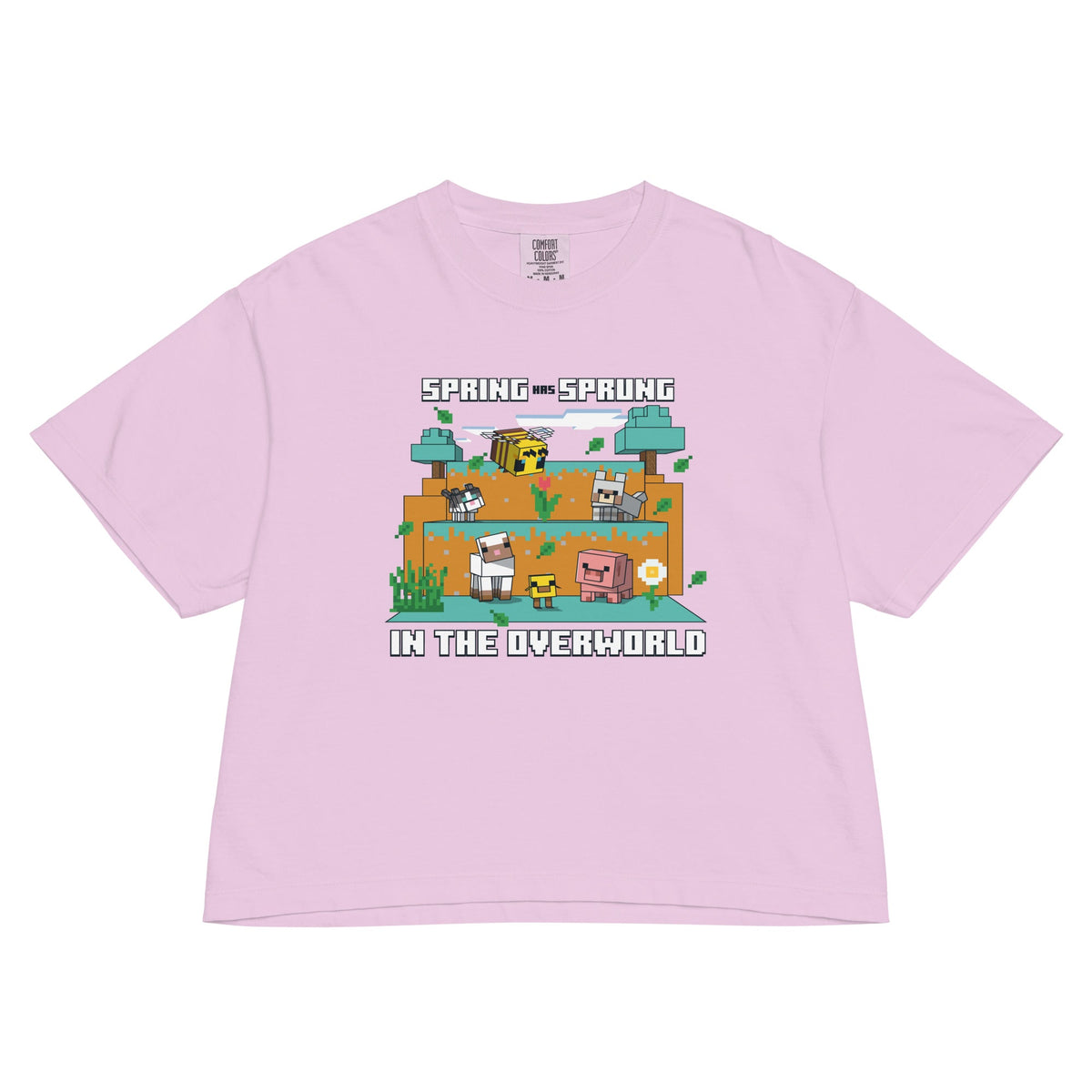 Minecraft Women’s Boxy T-Shirt Spring has Sprung